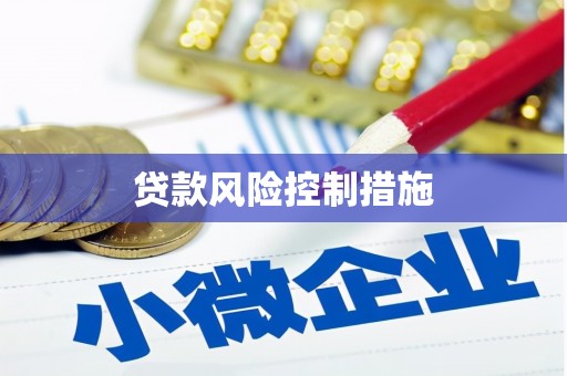 嘉黎贷款风险控制措施