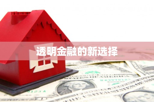 嘉黎透明金融的新选择