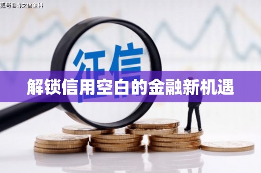 嘉黎解锁信用空白的金融新机遇