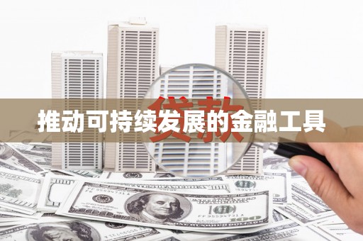 嘉黎推动可持续发展的金融工具