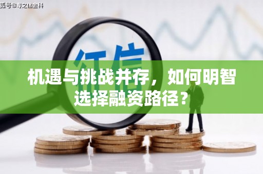 嘉黎机遇与挑战并存，如何明智选择融资路径？