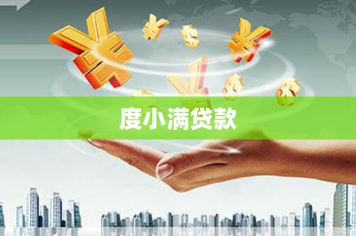 嘉黎度小满贷款