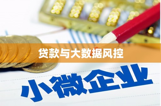 嘉黎贷款与大数据风控