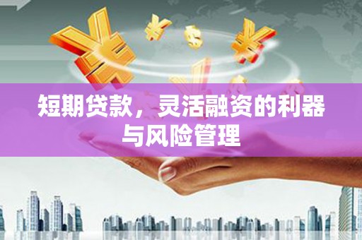 嘉黎短期贷款，灵活融资的利器与风险管理