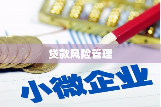 嘉黎贷款风险管理