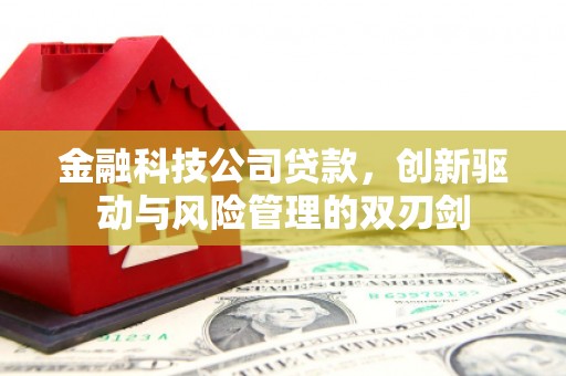 嘉黎金融科技公司贷款，创新驱动与风险管理的双刃剑