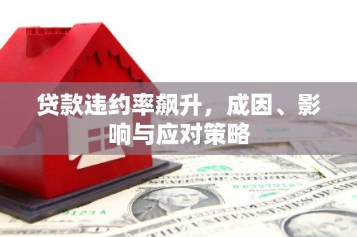 嘉黎贷款违约率飙升，成因、影响与应对策略